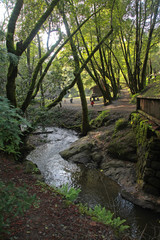 bridge n stream n trees