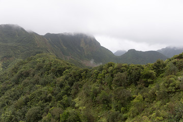 Obraz premium Cloudy day in the rain forest of Dominica