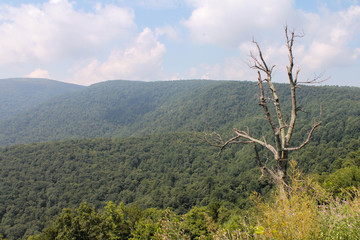 Fototapeta na wymiar Shenandoah National Park View of Mountains