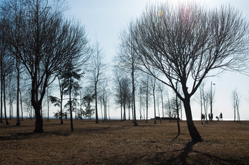 russian park landscape