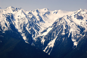 Hurricane Ridge, Olympic National Park