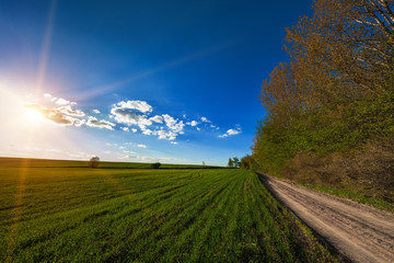 Green Field and Beautiful Sunset