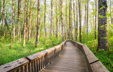 Billy Frank Jr. Nisqually National Wildlife Refuge