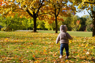 Little child in the autumn forest