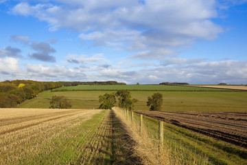 Fototapeta na wymiar agricultural countryside