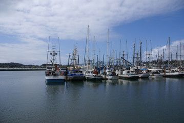  Fishing boats in marina
