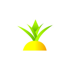 Fototapeta na wymiar Pineapple Icon Vector