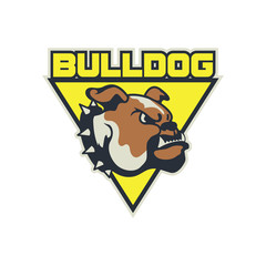 Modern sport logo for team. Bulldog mascot logo template