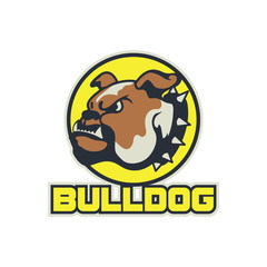 Modern sport logo for team. Bulldog mascot logo template