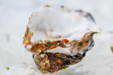 Obraz na płótnie Canvas Food: Oysters