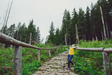 Fototapeta premium woman hiker hiking on trail