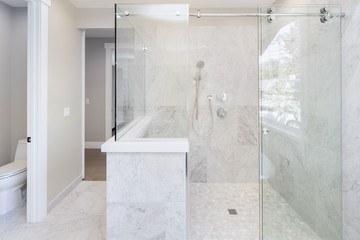 Glass Shower in modern home.