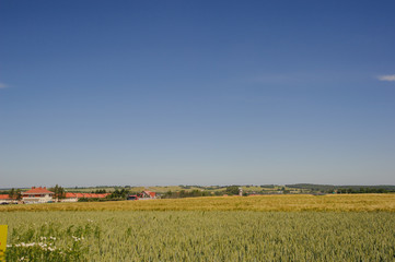 Fototapeta premium estate cottages in nature