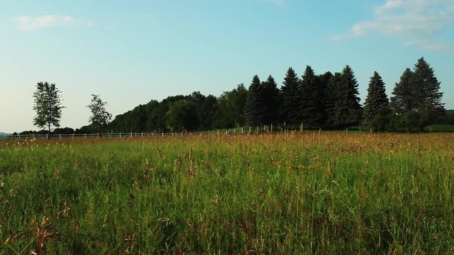 Wide, field with beauty landscape.