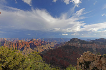 grand canyon view