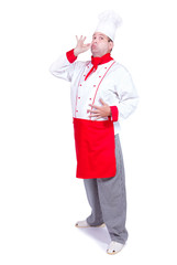 cheerful chef standing with gesture for perfect