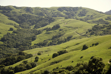 lucas valley hills