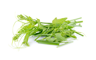 fresh chayoted leaves and stem on white background