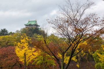 Osaka Castle in autumn