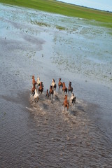 on the move