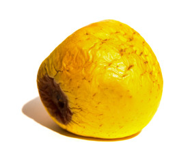 rotten apple on white background close up