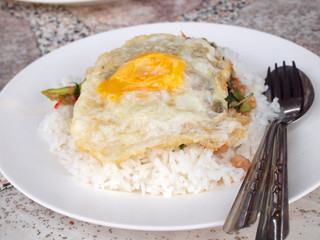Close up Rice topped with stir fried pork and basil