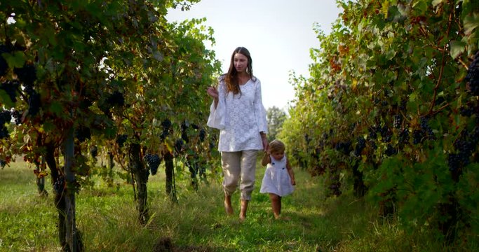  beautiful mother accompanies her little girl about two years in the outdoors to discover the typical and traditional Italian vineyards