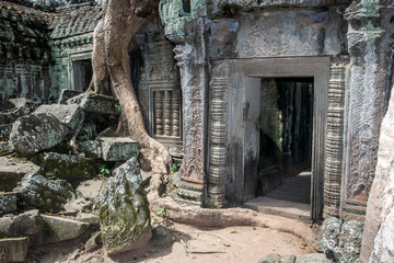 Khmer temple Ta Prohm, Angkor complex, Siem Reap