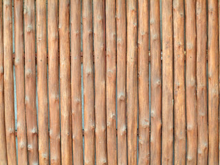 Pine wood background texture