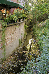 mill valley creek