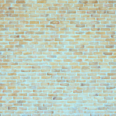 vintage Bricks wall in the white room