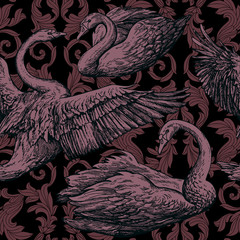 Fototapety  Vintage antique background with swans and Victorian ornaments