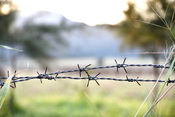 Barbed wire farm Fence