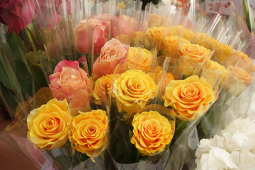 yellow rose for sale in flower shop
