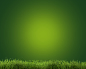 Fototapeta na wymiar green grass background 3d render