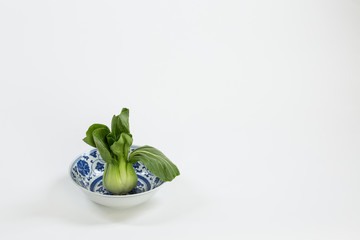 Bok Choy raw in a chinese bowl single wide shot