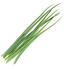 Spring Onion Isolated on White Background