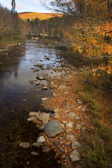 The Ammonusuc River flows through the White Mountains, New Hamps