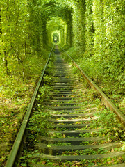 Love tunnel