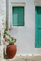 Fototapeta na wymiar red geraniums n green window shutter