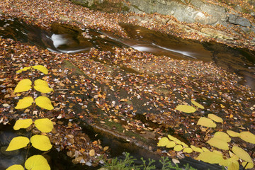 Silky water of Gordon Fall area, White Mountains, New Hampshire.