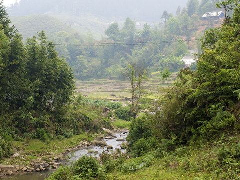 The view of Sapa, Vietnum