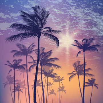 Silhouette of palm tree and sunset sky