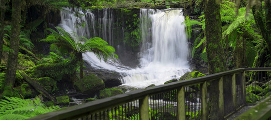 The beautiful Horseshoe Falls after heavy rain fall in Mount Field National Park, Tasmania, Australia.