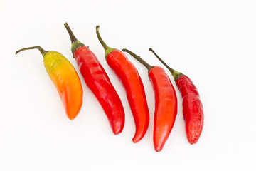 Beautiful red chilies