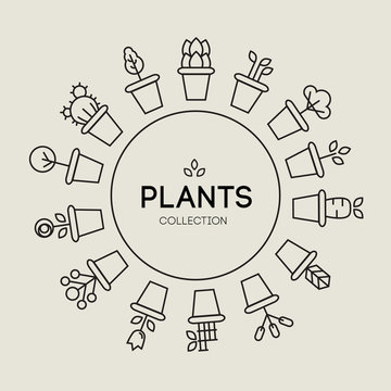 icons of pot plants garden
