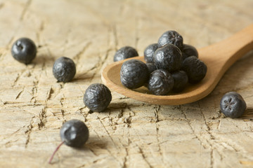 Aronia
