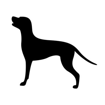 dog silhouette, vector