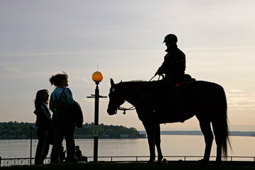 police horse silhouette