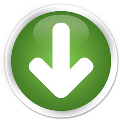 Download arrow icon soft green glossy round button